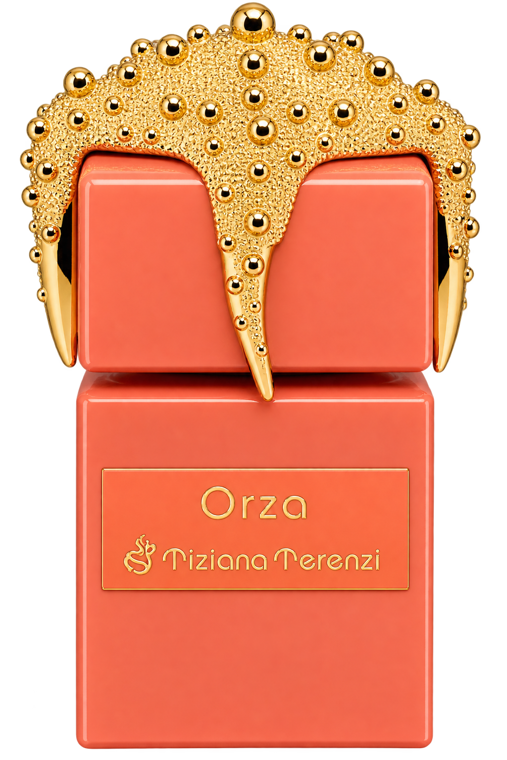 Tiziana Terenzi Deriva